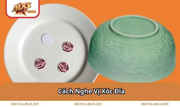 cach-nghe-vi-xoc-dia