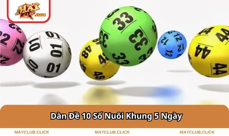 dan-de-10-so-nuoi-khung-5-ngay
